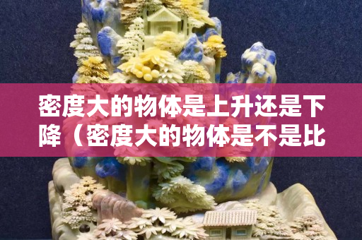 密度大的物体是上升还是下降（密度大的物体是不是比较重）
