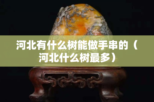 河北有什么树能做手串的（河北什么树最多）