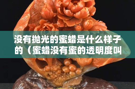 没有抛光的蜜蜡是什么样子的（蜜蜡没有蜜的透明度叫什么品种）