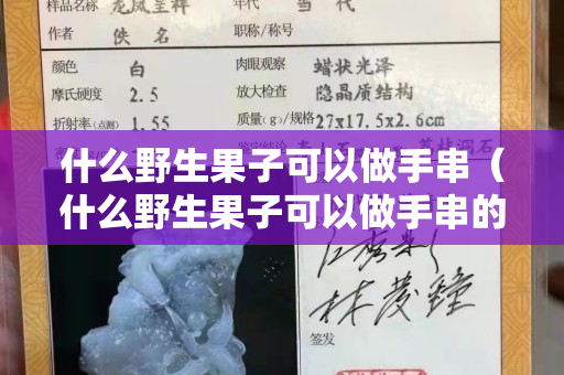什么野生果子可以做手串（什么野生果子可以做手串的）
