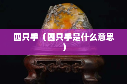 四只手（四只手是什么意思）