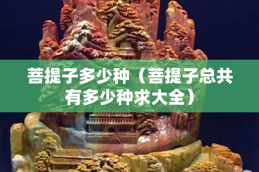 菩提子多少种（菩提子总共有多少种求大全）