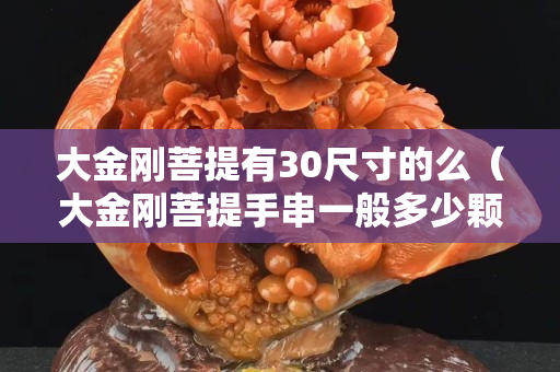 大金刚菩提有30尺寸的么（大金刚菩提手串一般多少颗）