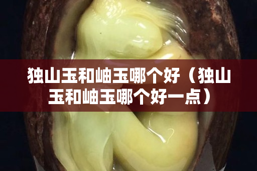 独山玉和岫玉哪个好（独山玉和岫玉哪个好一点）