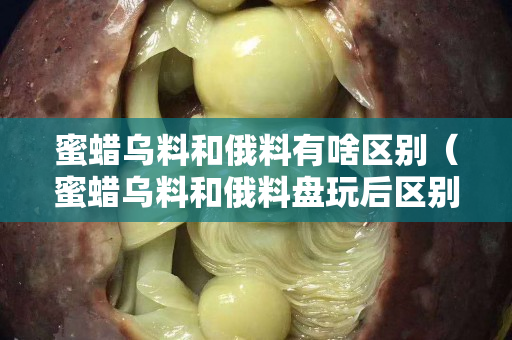 蜜蜡乌料和俄料有啥区别（蜜蜡乌料和俄料盘玩后区别）