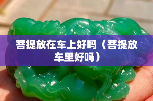 菩提放在车上好吗（菩提放车里好吗）