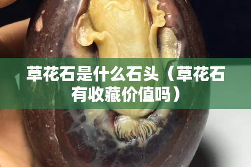 草花石是什么石头（草花石有收藏价值吗）