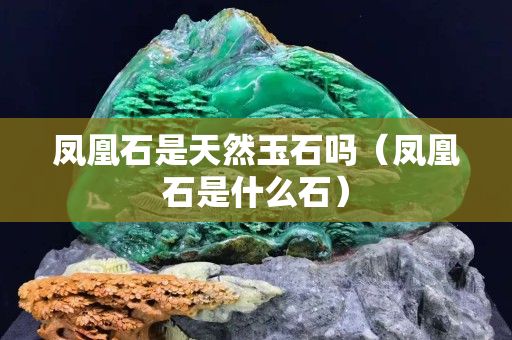 凤凰石是天然玉石吗（凤凰石是什么石）
