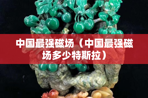 中国最强磁场（中国最强磁场多少特斯拉）