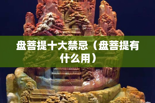 盘菩提十大禁忌（盘菩提有什么用）