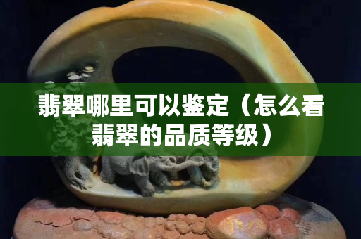 翡翠哪里可以鉴定（怎么看翡翠的品质等级）