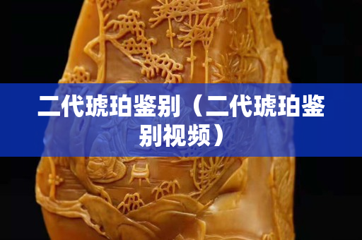 二代琥珀鉴别（二代琥珀鉴别视频）