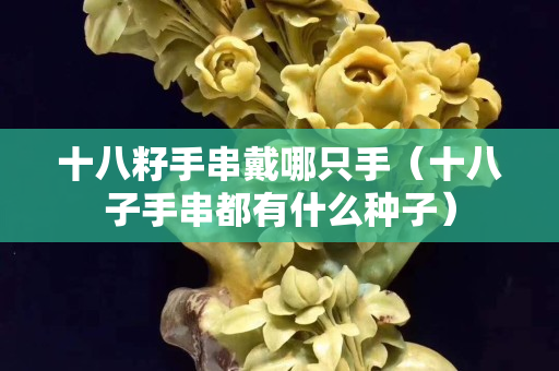 十八籽手串戴哪只手（十八子手串都有什么种子）