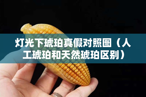 灯光下琥珀真假对照图（人工琥珀和天然琥珀区别）