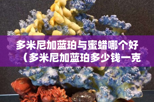 多米尼加蓝珀与蜜蜡哪个好（多米尼加蓝珀多少钱一克？琥珀蜜蜡宝阁）