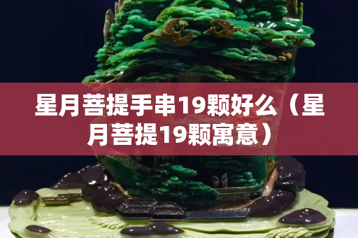 星月菩提手串19颗好么（星月菩提19颗寓意）