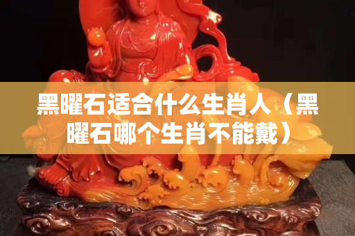 黑曜石适合什么生肖人（黑曜石哪个生肖不能戴）