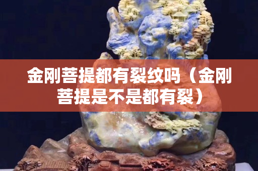 金刚菩提都有裂纹吗（金刚菩提是不是都有裂）