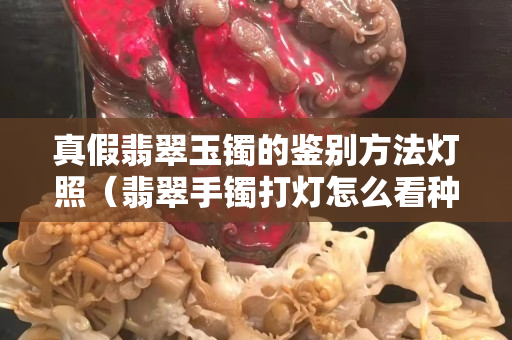真假翡翠玉镯的鉴别方法灯照（翡翠手镯打灯怎么看种）