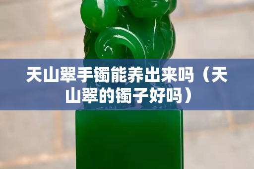 天山翠手镯能养出来吗（天山翠的镯子好吗）