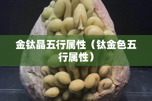 金钛晶五行属性（钛金色五行属性）