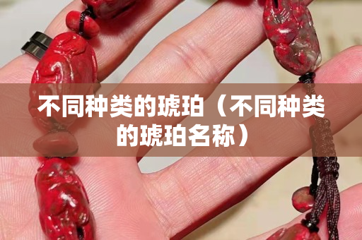 不同种类的琥珀（不同种类的琥珀名称）