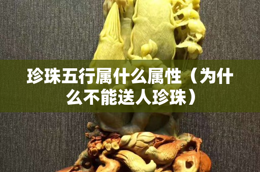 珍珠五行属什么属性（为什么不能送人珍珠）