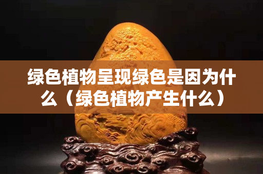 绿色植物呈现绿色是因为什么（绿色植物产生什么）