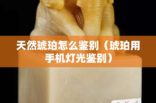 天然琥珀怎么鉴别（琥珀用手机灯光鉴别）