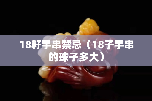 18籽手串禁忌（18子手串的珠子多大）