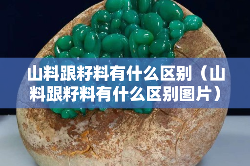 山料跟籽料有什么区别（山料跟籽料有什么区别图片）