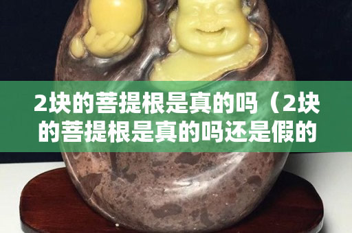 2块的菩提根是真的吗（2块的菩提根是真的吗还是假的）