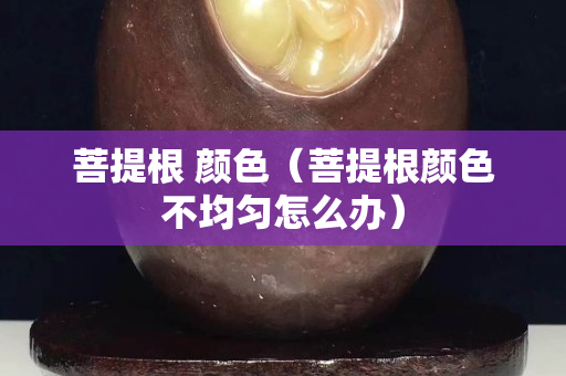 菩提根 颜色（菩提根颜色不均匀怎么办）