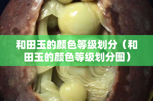 和田玉的颜色等级划分（和田玉的颜色等级划分图）