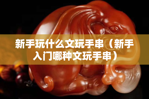 新手玩什么文玩手串（新手入门哪种文玩手串）