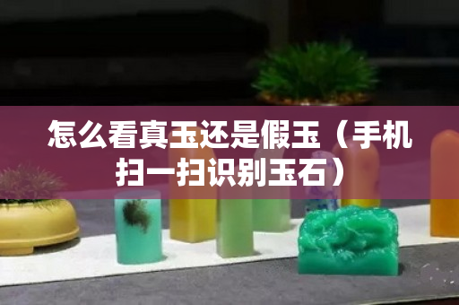 怎么看真玉还是假玉（手机扫一扫识别玉石）