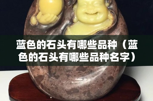 蓝色的石头有哪些品种（蓝色的石头有哪些品种名字）