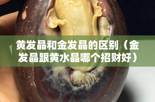 黄发晶和金发晶的区别（金发晶跟黄水晶哪个招财好）