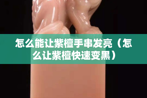 怎么能让紫檀手串发亮（怎么让紫檀快速变黑）
