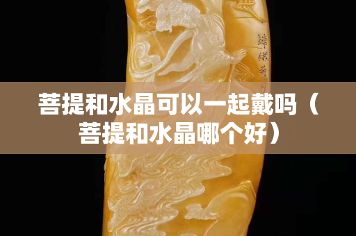 菩提和水晶可以一起戴吗（菩提和水晶哪个好）