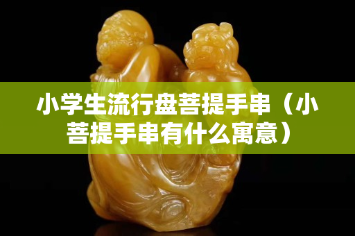小学生流行盘菩提手串（小菩提手串有什么寓意）