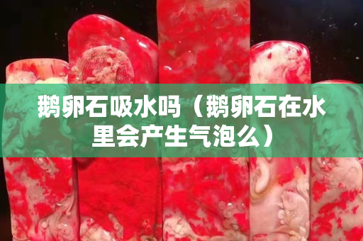 鹅卵石吸水吗（鹅卵石在水里会产生气泡么）