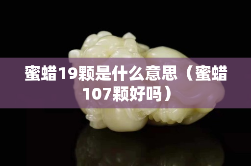 蜜蜡19颗是什么意思（蜜蜡107颗好吗）