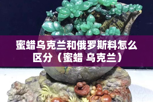 蜜蜡乌克兰和俄罗斯料怎么区分（蜜蜡 乌克兰）