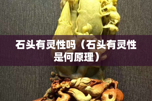 石头有灵性吗（石头有灵性是何原理）