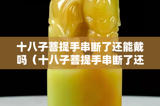 十八子菩提手串断了还能戴吗（十八子菩提手串断了还能戴吗图片）