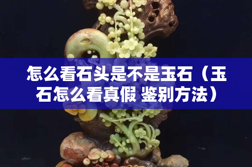 怎么看石头是不是玉石（玉石怎么看真假 鉴别方法）