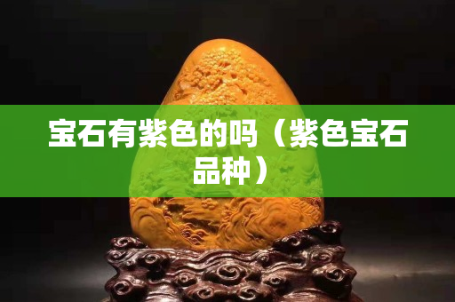 宝石有紫色的吗（紫色宝石品种）
