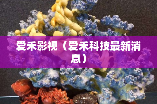 爱禾影视（爱禾科技最新消息）