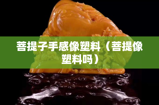 菩提子手感像塑料（菩提像塑料吗）